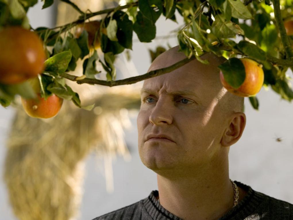 Kongekabale Det Danske Filminstitut